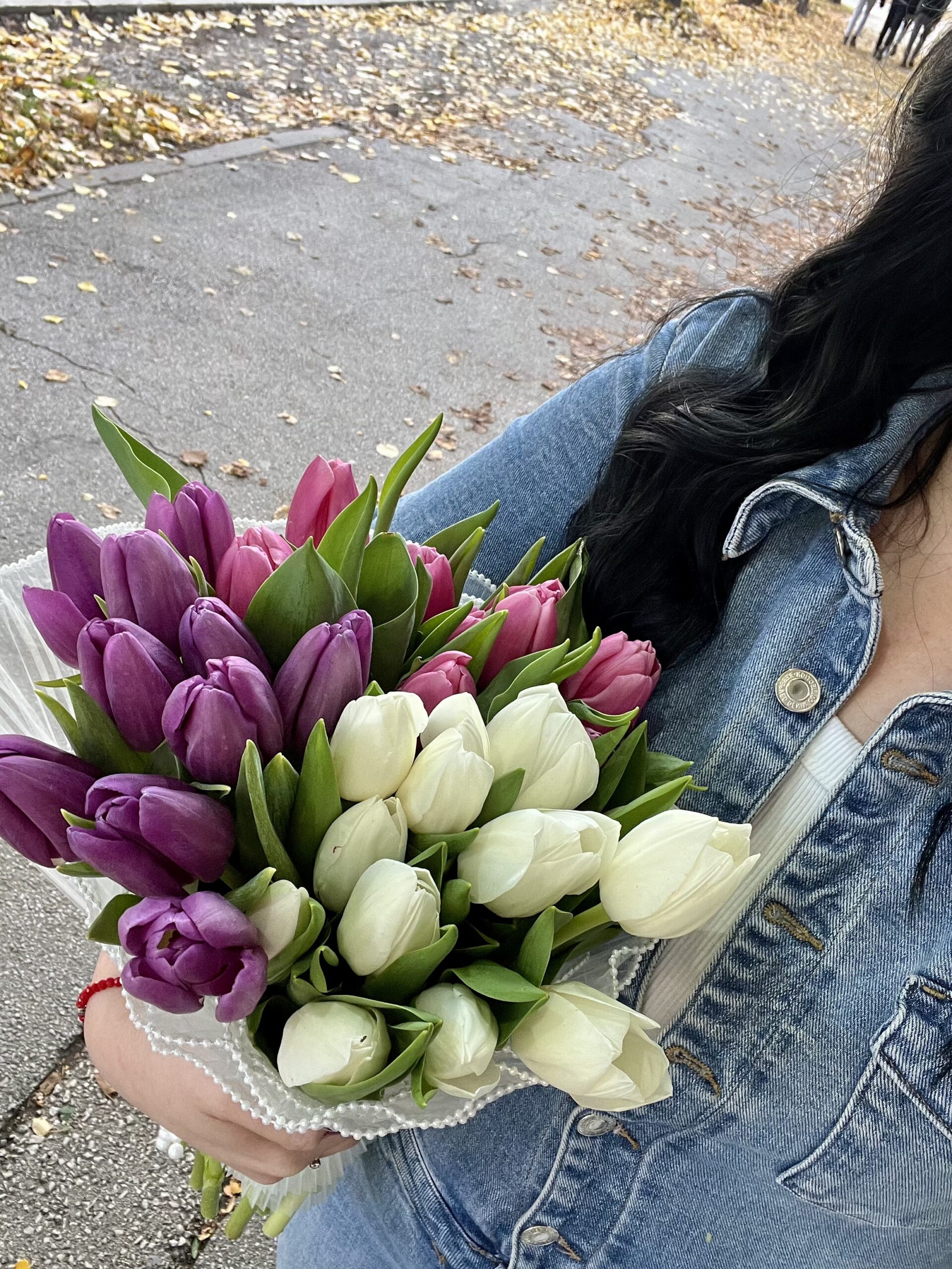 Mixed Tulips