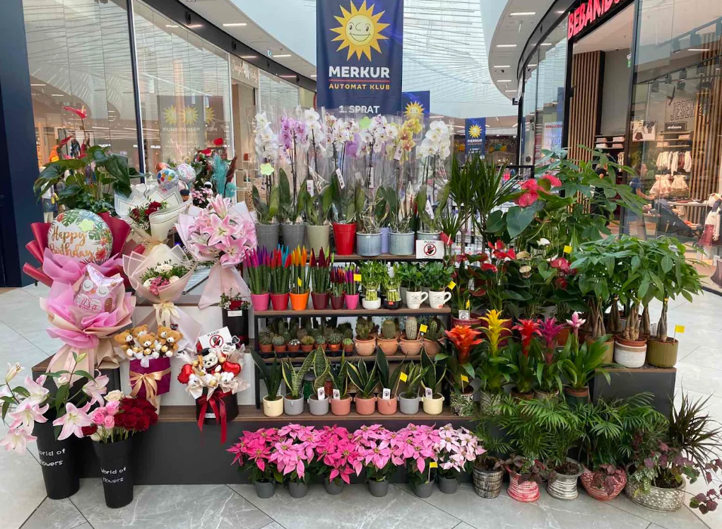 Bello Fiore cvećara Niš