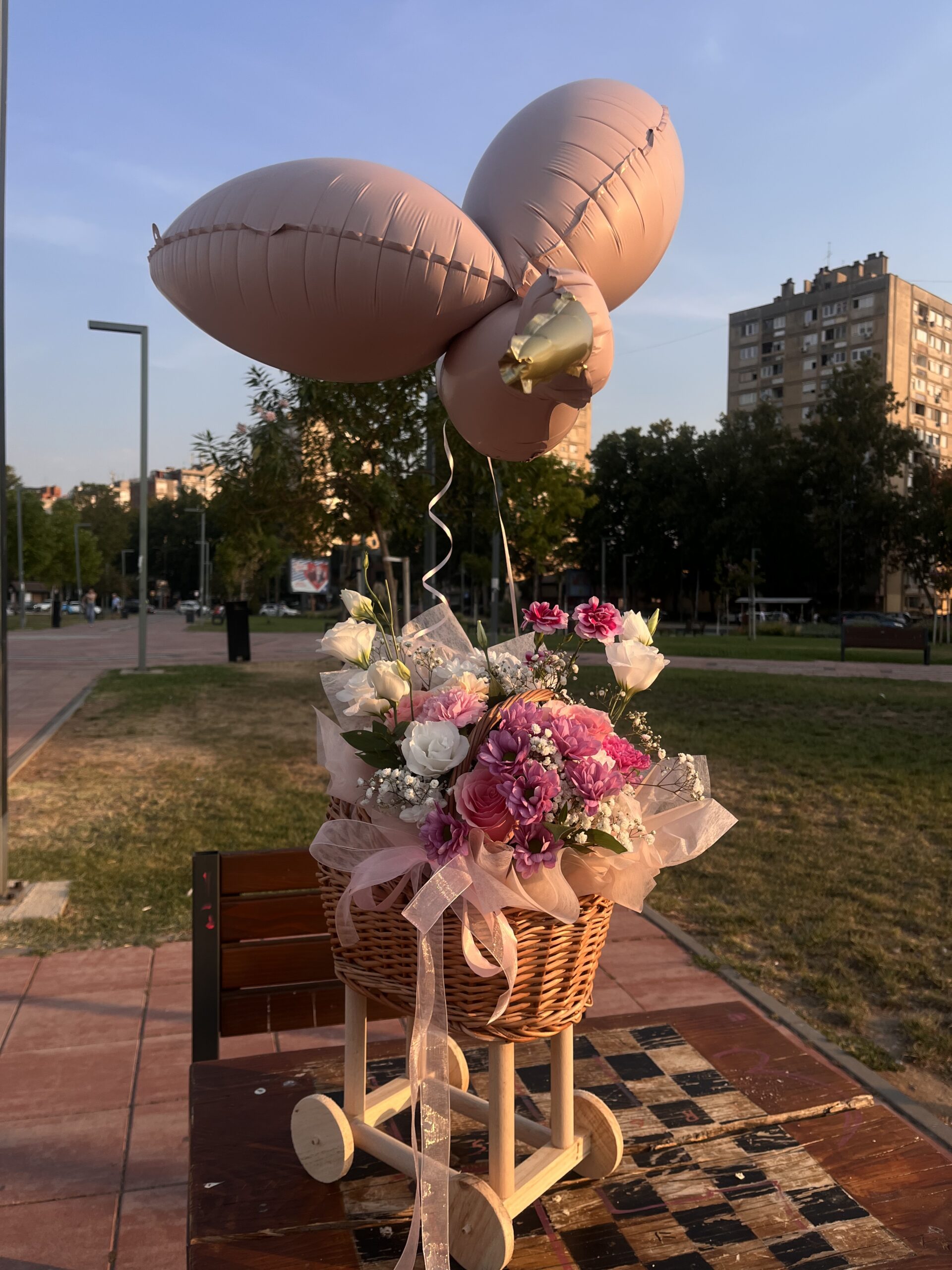 Kolevka Baby Girl